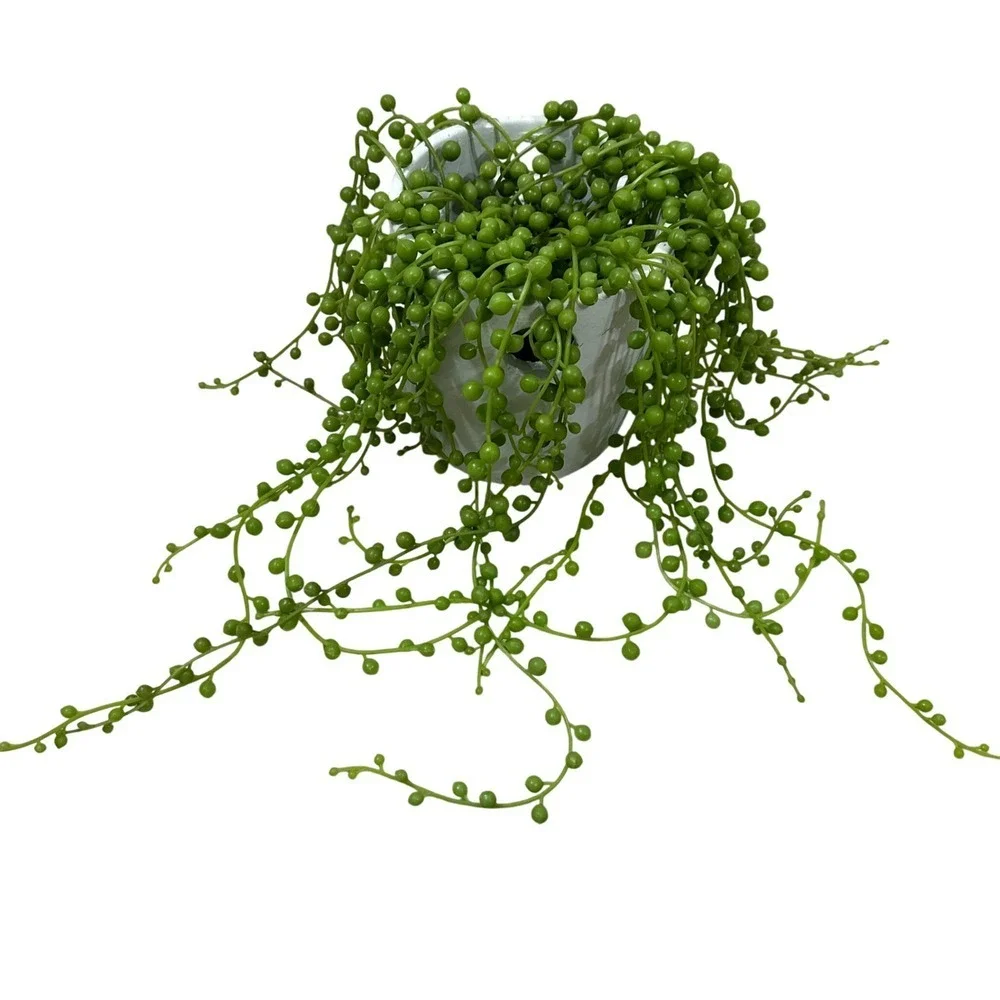 Artificial String of‎ Pearls Faux Succulent Plant in White Ceramic Pot 18.5in